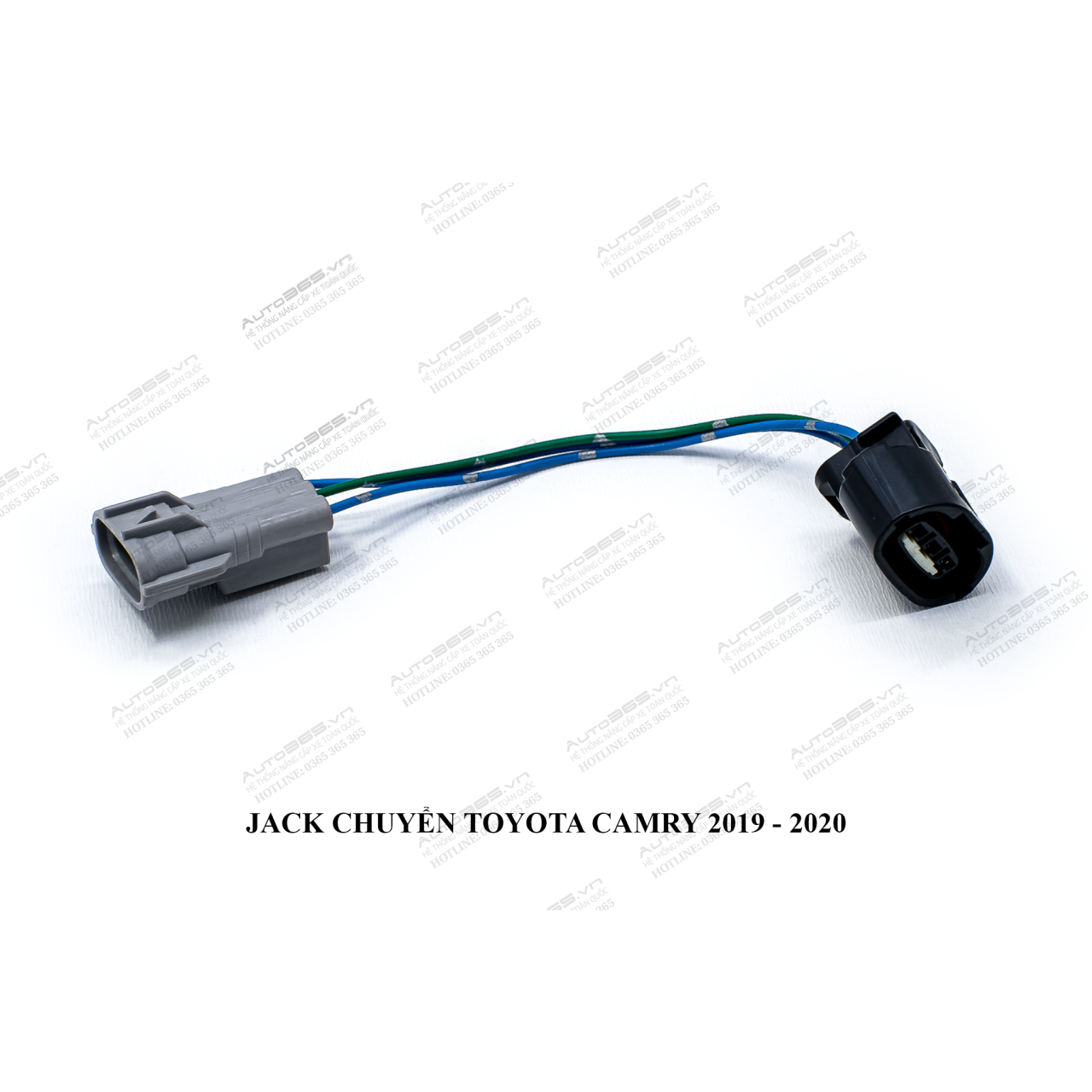 TOYOTA CAMRY 2019-2020 - Hình 1